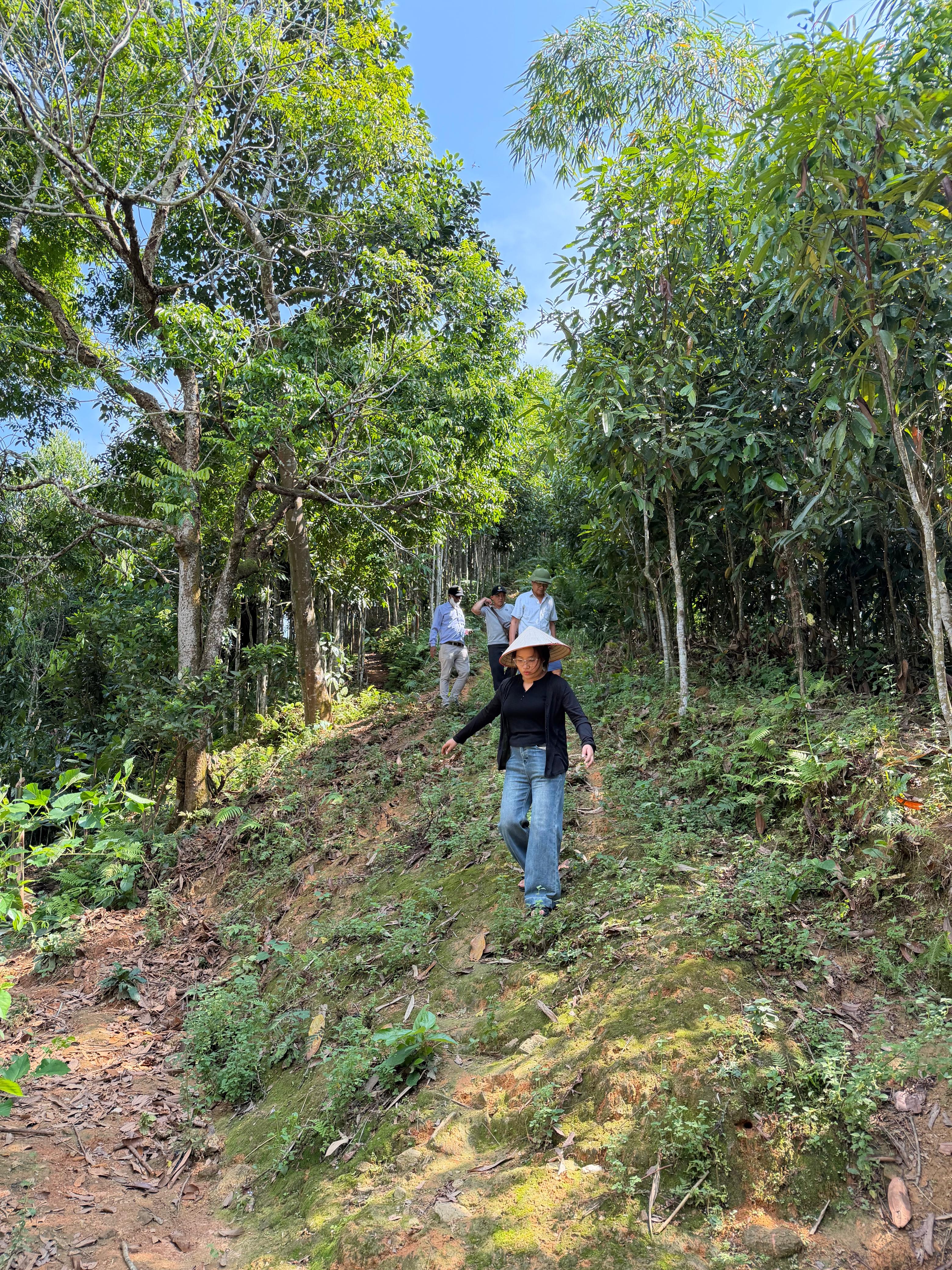 People walking through a tree-filled farm